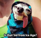 Sid From Ice Age