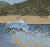 Flying Water Car