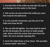 This Is How You Clean Your Cat