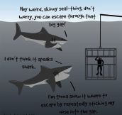 Sharks Just Try To Help