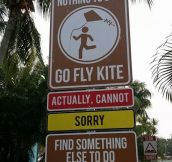 Go Fly Kite