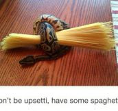 Here, Have Some Spaghetti