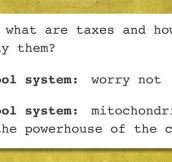 The School System And Taxes