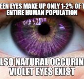 Violet Eyes Exist