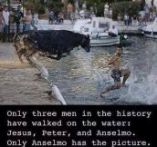 Only Anselmo Can Prove It