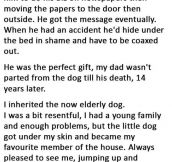 He Let His Dog Sleep With Him On The Last Day Of His Life. This Is Heartbreaking.