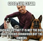 Good Guy Cesar