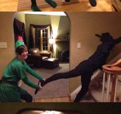 The Very Best Halloween Costumes On The Internet
