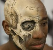 Anatomical Make Up