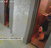 Saving A Dog From An Elevator