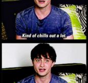 Life After The Harry Potter Movies