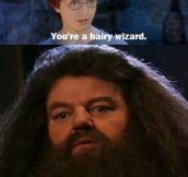 Harry, You Are A Wizard
