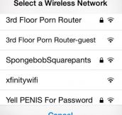 I’m A Little Concerned About Those WiFi Names