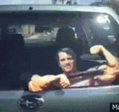 Arnold Schwarzenegger Car Wipers