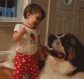 Girl Learning She Can Hug A Dog