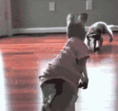 Ninja Cats that Have Mastered the Ancient Art .