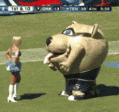 Here’s Why You Don’t Pick Fights With Mascots