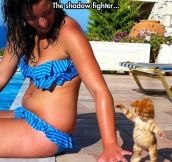 The Shadow Fighter