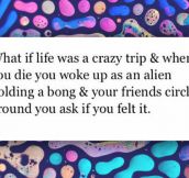 Life Is Just A Trip
