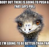 Self Encouragement Emu