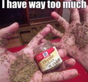 You’re Just Wasting Thyme