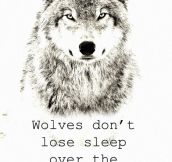 Wolves Just Don’t Care