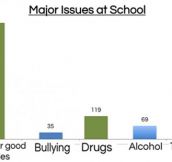 The Major Issue At School