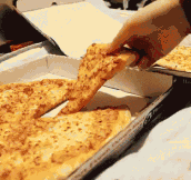 Cheesy Pizza Is The Best Pizza