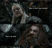 The Elves And Dwarves Conundrum