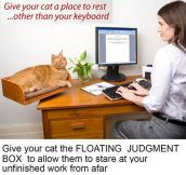 Floating Judgment Box