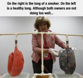 The Lung Of A Smoker And A Healthy Lung