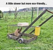 The Green Solution For Lawnmowers
