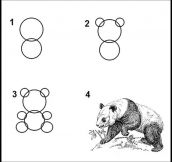 How To Draw A Panda In Every Art Tutorial