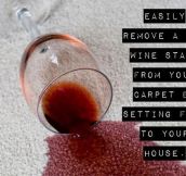 The Only Effective Method To Remove Wine