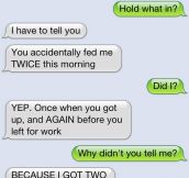 If Dogs Could Text… (17 Pics)