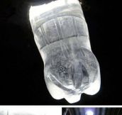 Water Light Bulb Idea