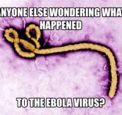 Ebola Virus Just Disappeared