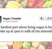 Vegans Also Have A Sense Of Humor