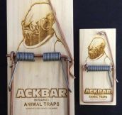 The Perfect Brand Name For Animal Traps