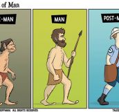 The Stages Of Evolution