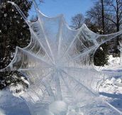 Frozen Spider Web