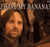 Cut It Out, Aragorn