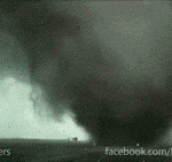Some People Are Just Not Scared Of Tornadoes