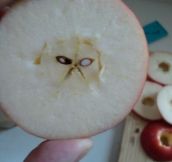 You May Say That’s A Grumpy Apple