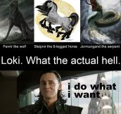 What Have You Done, Loki?