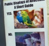 Instructions For Showing Affection In Public