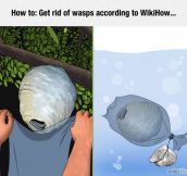 WikiHow Always Has The Solution