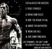 The Rules For Success