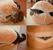 Cat Burger Bed