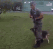 Dog Combat Training